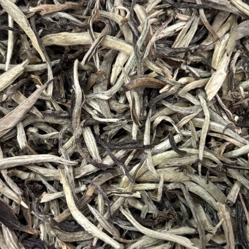 [129] Bai Hao Yin Zhen "Ace De Argint"