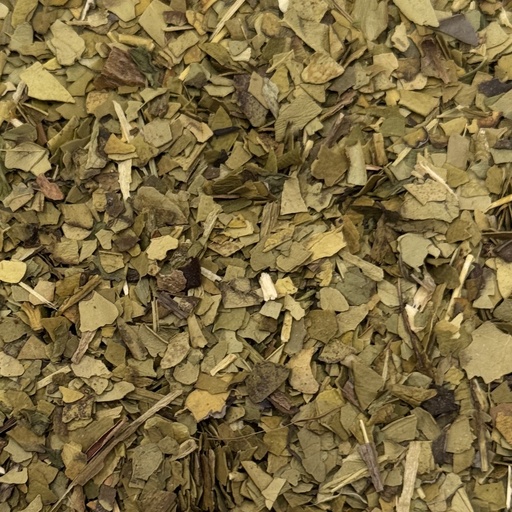 [177] Menta mate